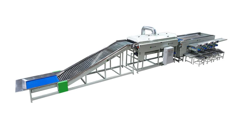 images/1661918172255potato sorter.jpg